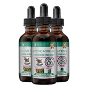 Active Adrenal - Advanced Adrenal Support Tincture - Liquid Delivery for Better Absorption - Ashwagandha, B-Vitamins, Magnesium and More | 3-Pack