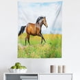 thumbnail image 1 of Animal Tapestry, Horse Runs Gallop on Flower Meadow Rural Freedom Animal, Fabric Wall Hanging Decor for Bedroom Living Room Dorm, 5 Sizes, Green Brown Pale Blue, by Ambesonne, 1 of 1
