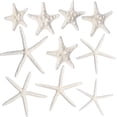 thumbnail image 6 of Nautical Crush Trading Nautical Beach Wedding Starfish Wall Decor, Set of 10, 6 of 6
