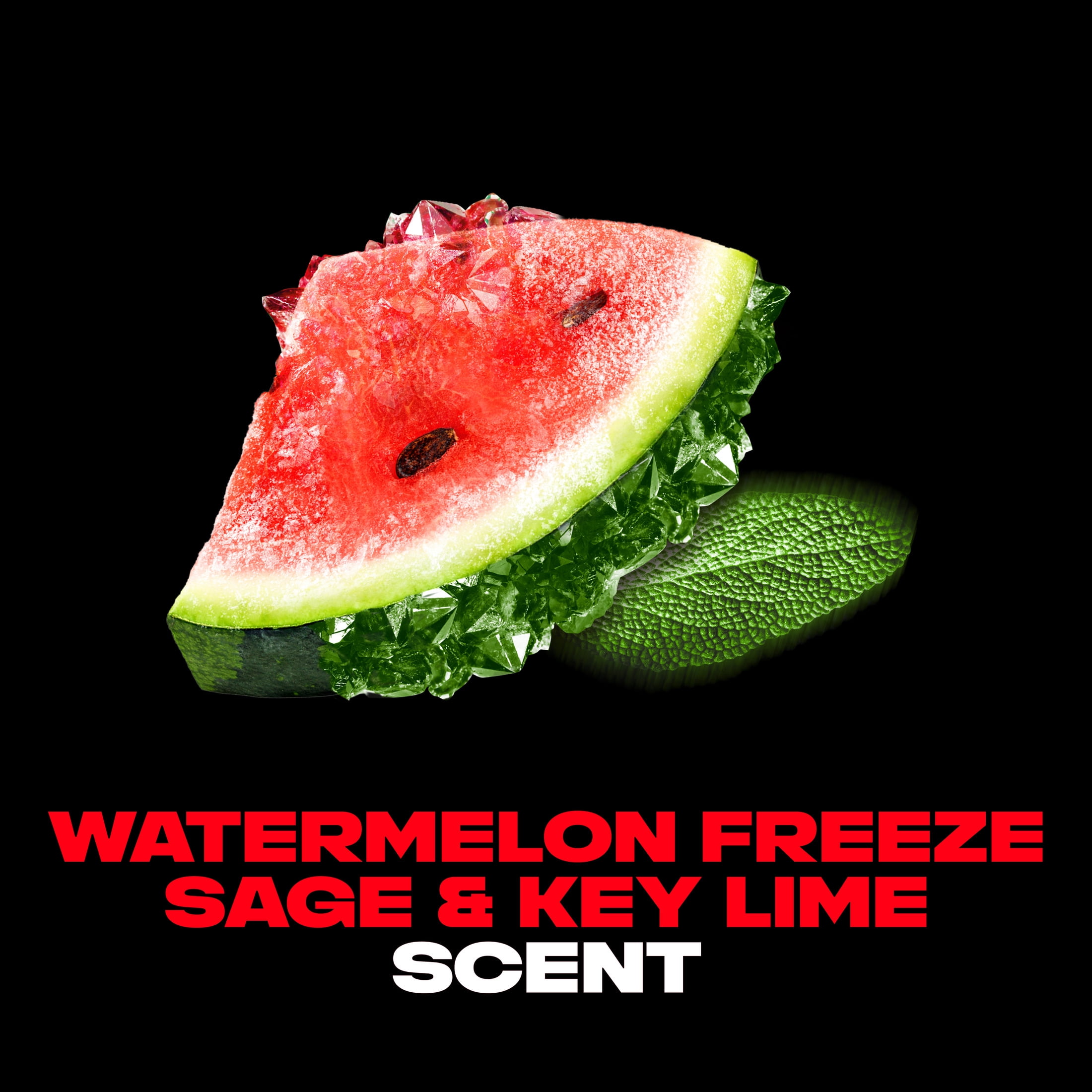 AXE Deodorant Body Spray Fine Fragrance Watermelon Freeze Aluminum Free ,4.0 oz 1