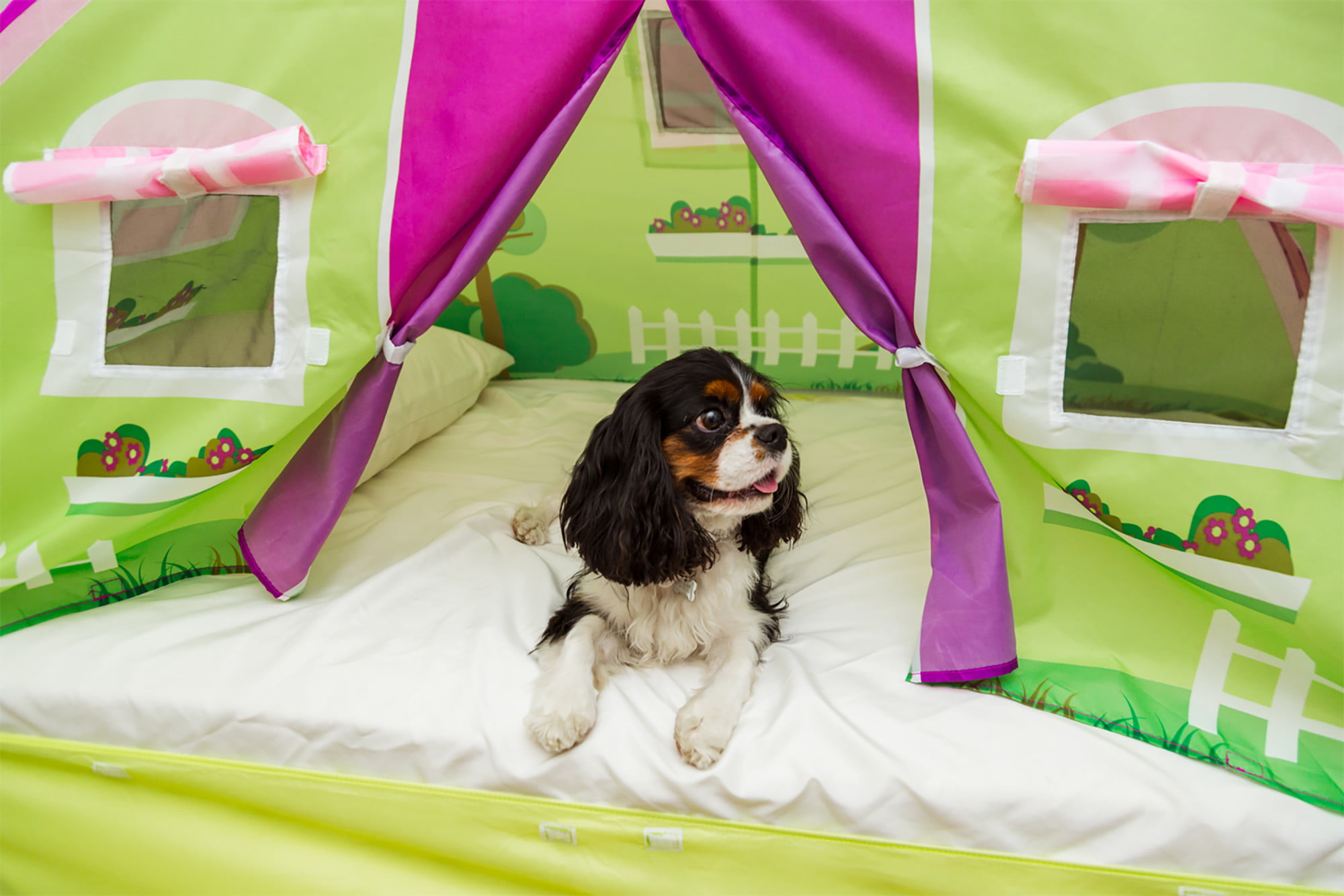 T-ポイント5倍】 Pacific Play Tents Cottage Bed Tent Twin%ｶﾝﾏ% 19600 並行輸入品 
