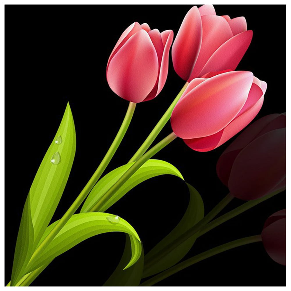 5D Full D#34 Flower Pink Tulips Diamond Painting Kits for Adults by Number Kits 
