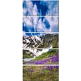 thumbnail image 2 of Spring Blooming Crocus Flowers - Landscape Canvas Art Print, 2 of 3