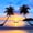 Sunset 10, variant on jejeloiu Sea Beach Sunset Twin Sheets For Girls,Coastal Palm Seashell Bedding,Golden Yellow,3-Piece,1 Fitted Sheet and 1 Pillowcase