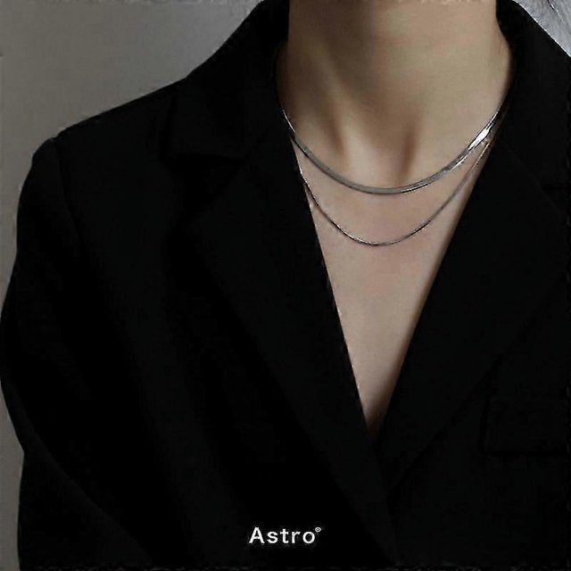 Double-layered necklace for women ins plain chain snake bone chain blade chain clavicle chain free delivery--silver-Product code 34553 silver
