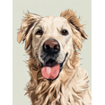 thumbnail image 1 of Toile Murale Portrait de Golden Retriever 15,75 X 11,81 Pouces, 1 of 8