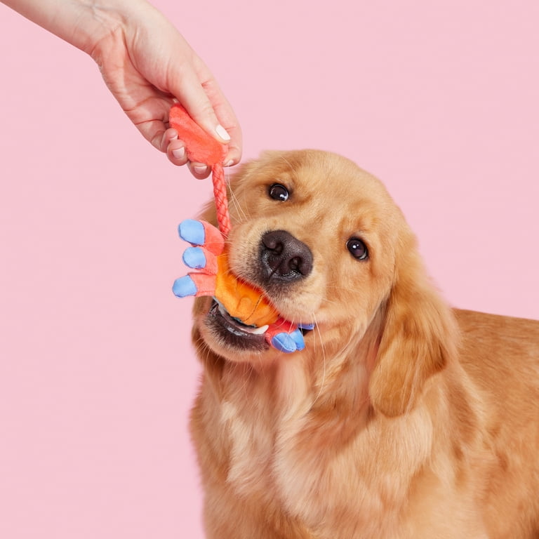 BARK Plush Dog Toys Sally Bitefoot Crab, for Dogs of All Sizes