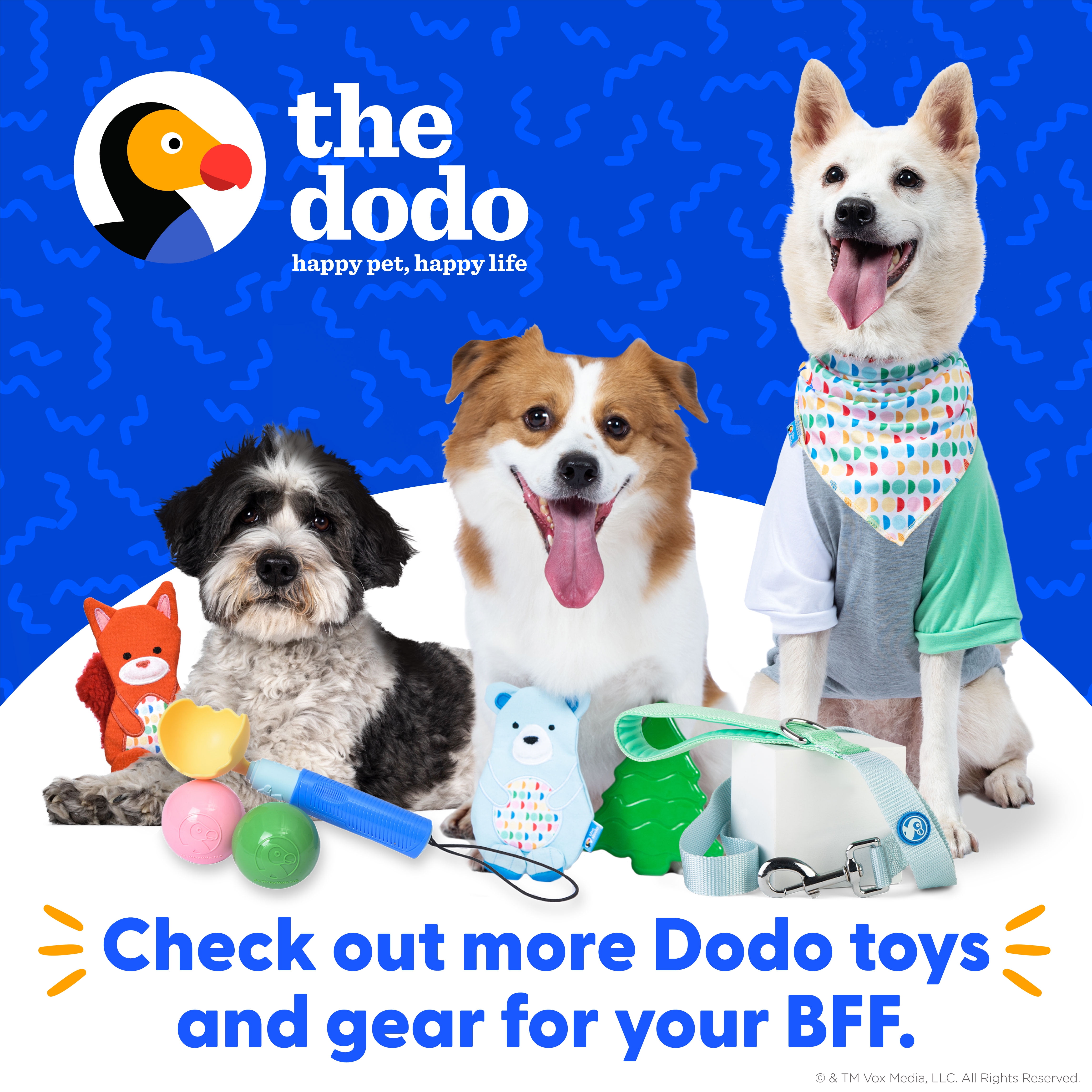 The Dodo Squirrel & Acorn Durable Stuffing-Less Small Dog Toy Set