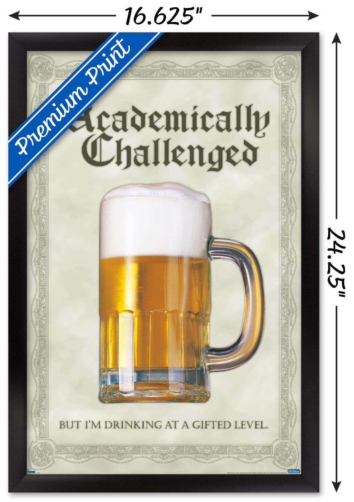 Academically Challenged Wall Poster, 14.725" x 22.375", Framed