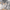 Gray/Beige, variant on LOKHOM Abstract Area Rug 2'x3' for Living Room, Machine Washable Rugs Non Slip Indoor Floor Carpet for Bedroom Dinning Room Office, Gray/Beige