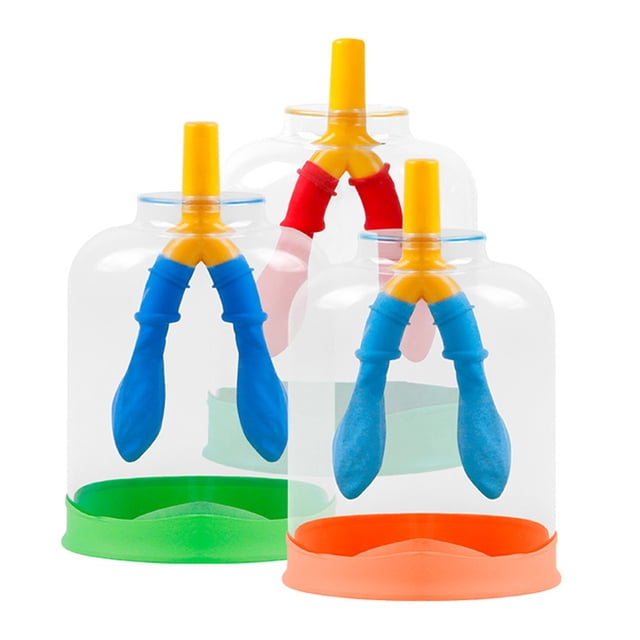 Visland Lung Breathing Function Demonstration Model 3D Human Lung Breathing Simulation Device School Students Educational Scientific Experiments Teaching Aid