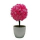 thumbnail image 1 of Planta artificial Bearachild decoración versátil rosa 14 cm 24 cm, 1 of 6