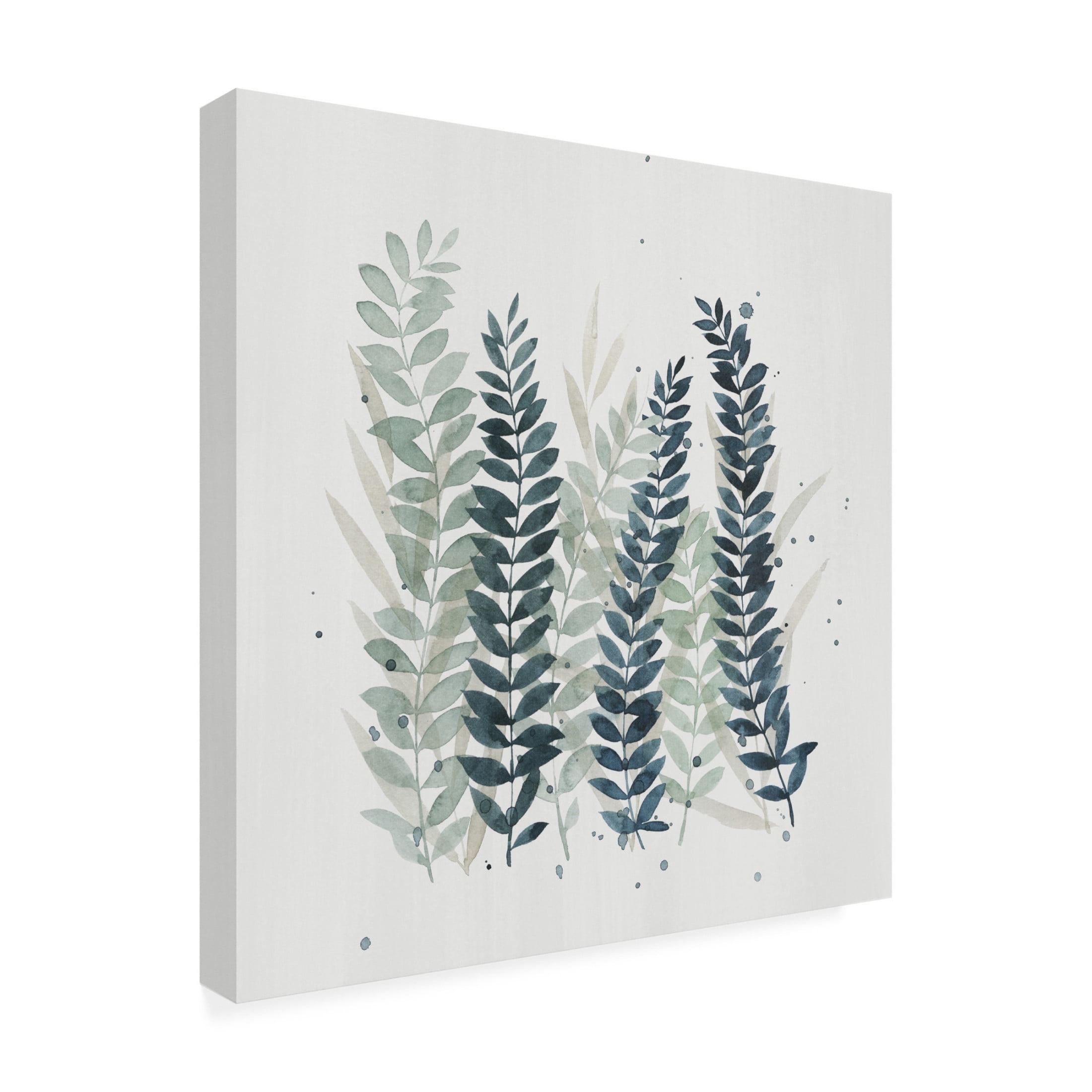 Trademark Fine Art Grace Popp Darling Wisp II Canvas Wall Art