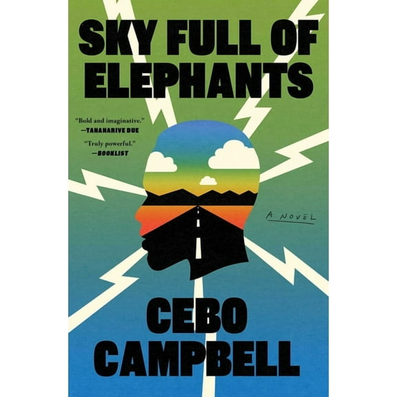 Sky Full of Elephants, (Paperback)