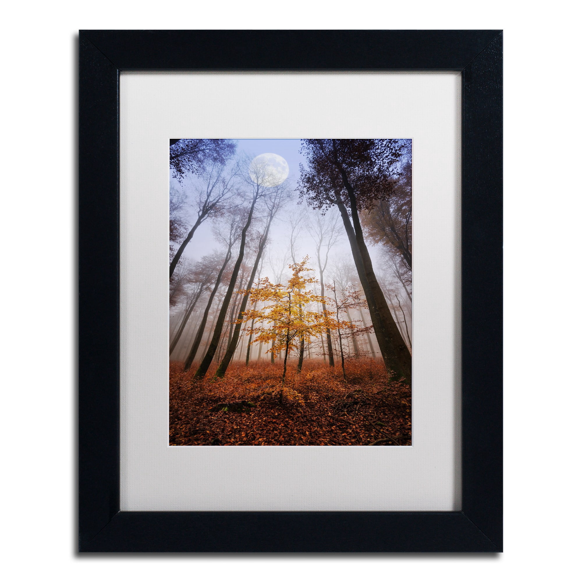 Trademark Fine Art "Sentinel" Canvas Art by Philippe Sainte-Laudy White Matte, Black Frame