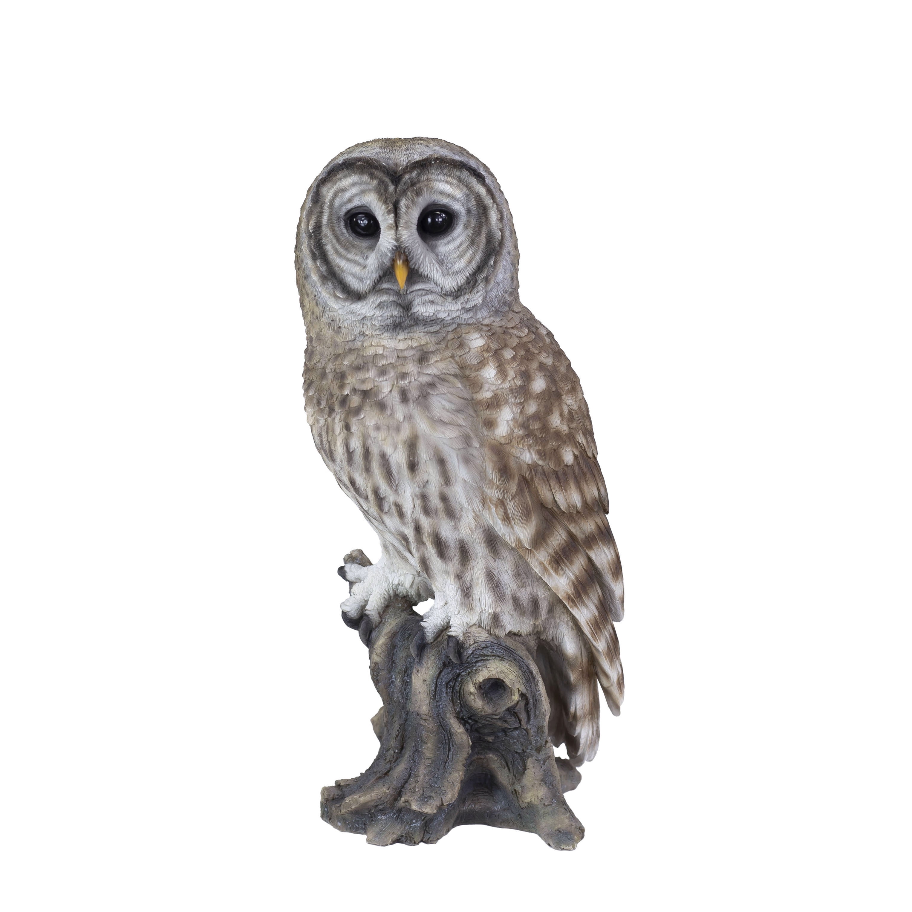 SOREAL Brown Barred Owl on branch | Handcrafted Decorative Bird Statue for Home & Garden | Premium Polyresin, Weather-Resistant Indoor/Outdoor Decor
