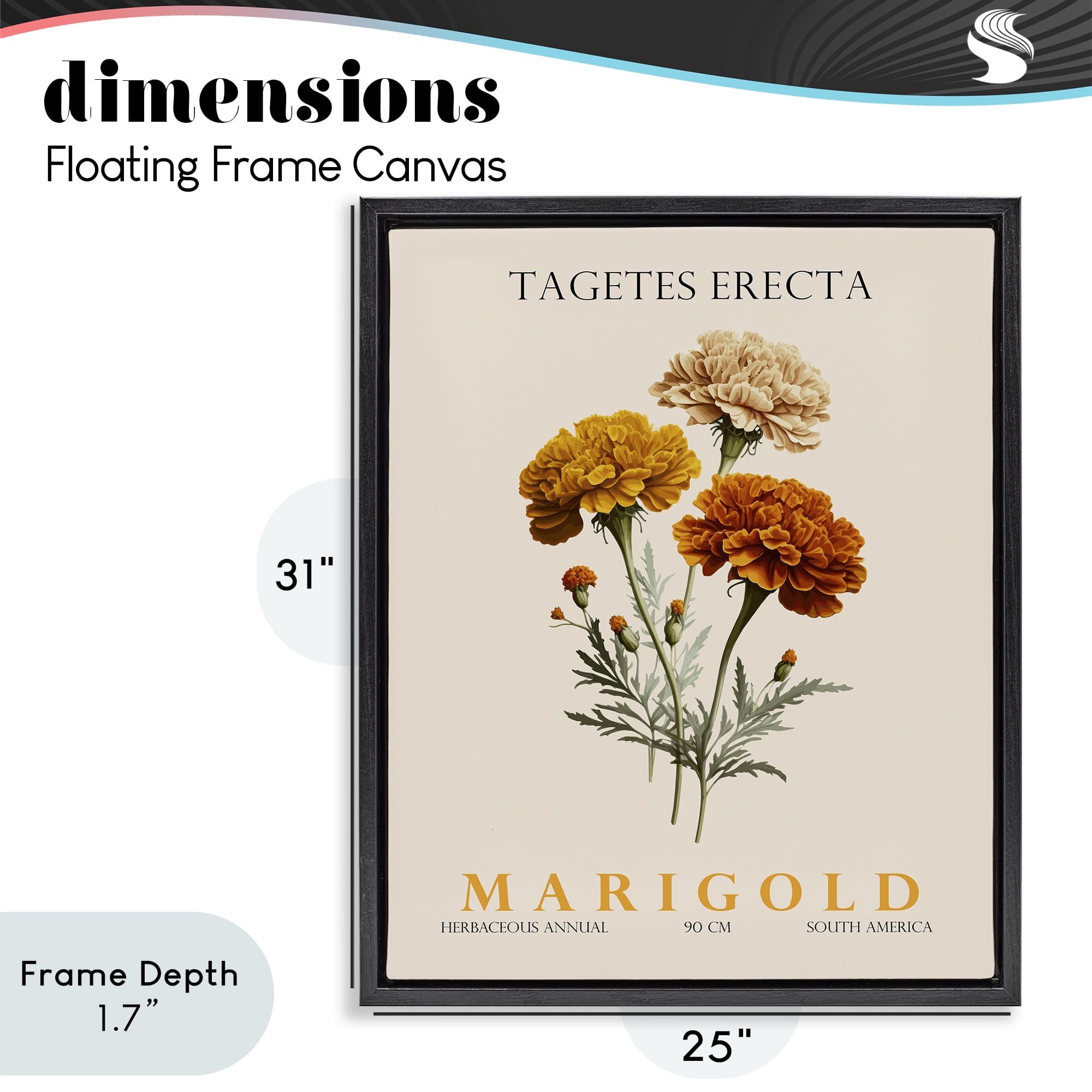 Stupell Industries Natural Marigold Bundle Black Framed Floater Canvas Wall Art, design by Christopher Giampietro
