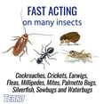 thumbnail image 5 of TERRO 3 lb Ant Killer Plus Multi-Purpose Insect Control - 2 Pack, 5 of 11