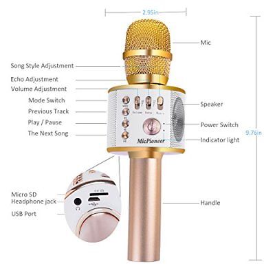 micpioneer wireless microphone karaoke speaker