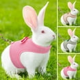 thumbnail image 1 of Visland 1 Set Pet Leash Comfortable Adjustable Small Pet Harness And Leash with Bow Decoration for Rabbit Cat Ferrets, 1 of 8