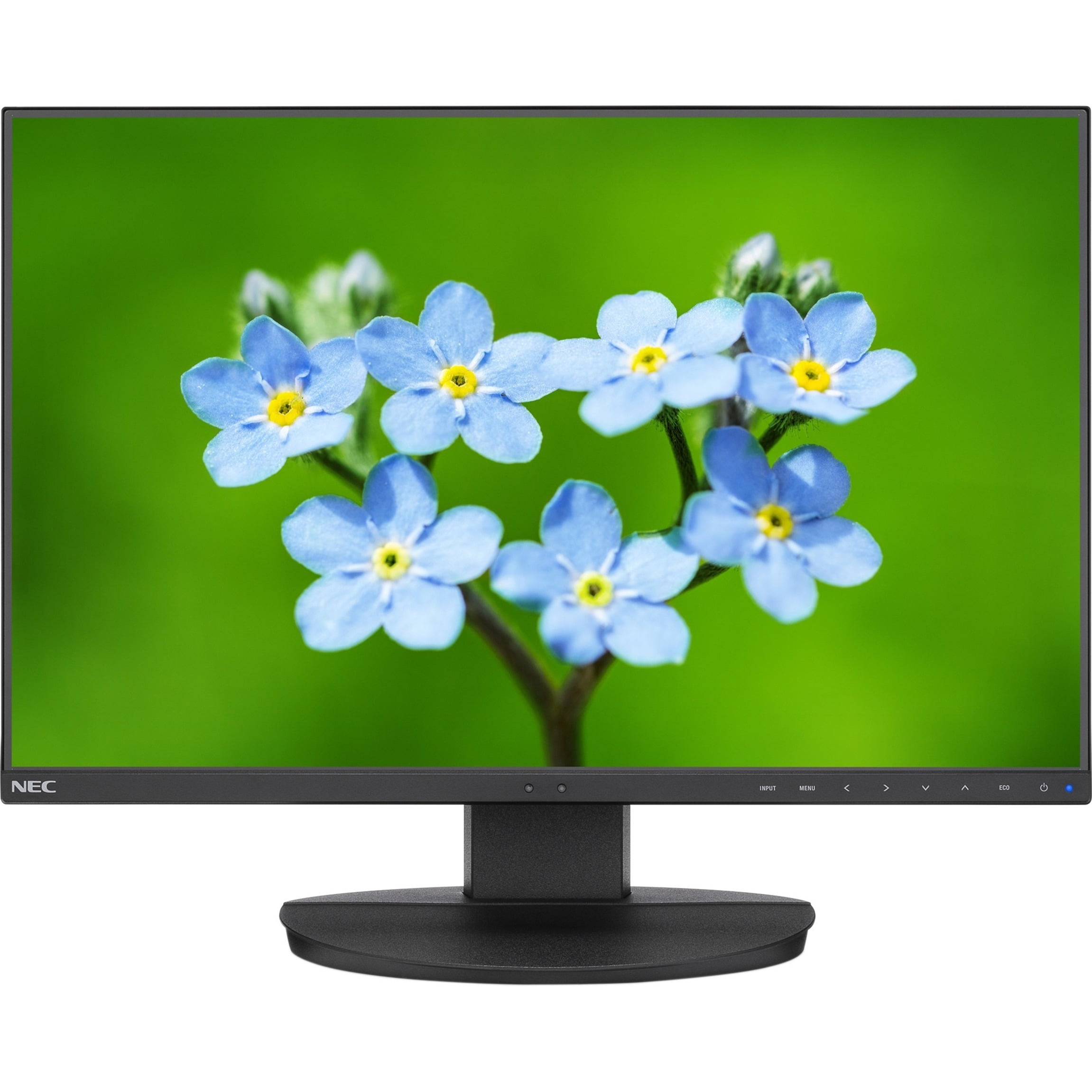 wuxga vs lcd display brands