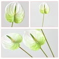 thumbnail image 5 of SEWCHICS Realistic Flowers Table Flowers Artificial Anthurium Flowers White Plastic 6Pcs, 5 of 8