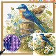 thumbnail image 1 of (ZQA4599-AB) Diamante AB parcial Diamante Serie pájaros Diamante cuadrado resina 30 * 30 CM Tamaño del lienzo 35 * 35 CM, 1 of 9