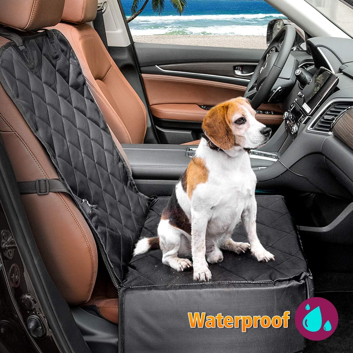 Dogs and leather car seats hot sale