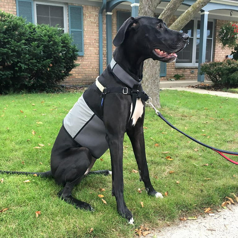 CoolerDog Dog Cooling Vest and Collar 