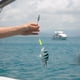 thumbnail image 5 of 50 Uds. De cuentas de pesca apiladas, cuentas apiladas de pesca para accesorios de pesca de carpa, 5 of 6
