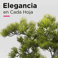 thumbnail image 3 of Bonsai Artificial 50cm Planta de Decoración, 3 of 6