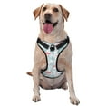 thumbnail image 1 of Cauagu Harnais Réfléchissant Motif Flamant Tropical pour Chien, Gilet Ajustable Anti-Traction pour Petits, Moyens et Grands Chiens - Moyen, 1 of 6