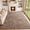 Brown, variant on Lanbertent 5ft x 8ft Shag Area Rug, Soft Fluffy Area Rugs for Living Room Bedroom Plush Pile Carpets, Light Gray