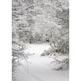 thumbnail image 3 of YUSDECOR 5X7ft Christmas Winter Snow Photograghy Backdrop Photo Background Photo studio prop, 3 of 4