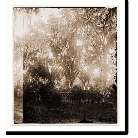 Historic Print, Savannah Georgia. View of cemetery, 16" x 20"