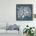 thumbnail image 3 of Trademark Fine Art 'Inverse Sea Fan III' Canvas Art by Grace Popp, 3 of 4