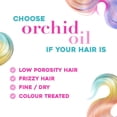 thumbnail image 3 of OGX Fade-Defying + Orchid Oil Moisturizing Daily Shampoo, 13 fl oz, 3 of 7