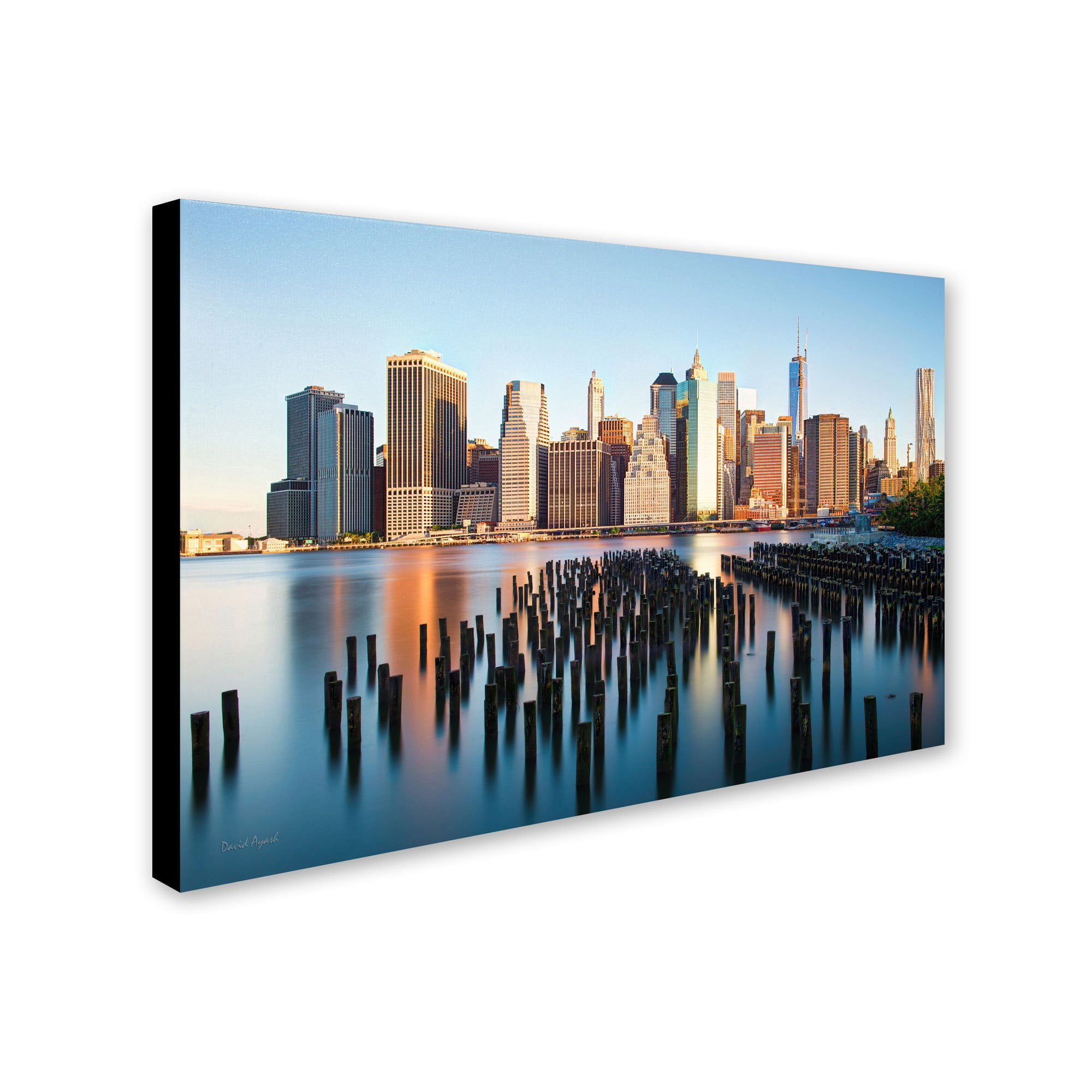 Trademark Fine Art "Brooklyn Bridge Park and Financial District - I" Canvas Art by David Ayash