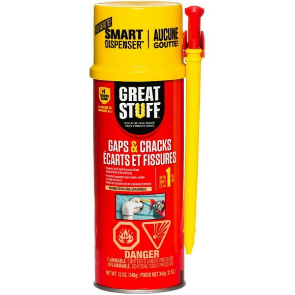Gaps and Cracks Insulating Foam Sealant - 340 g
