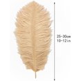 thumbnail image 3 of 24 Piezas Plumas de Avestruz NQ Blancas Naturales 25-30 cm para Decoración de Bodas, 3 of 4