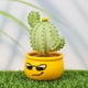 thumbnail image 4 of Bonito cactus decorativo de planta verde de escritorio, 4 mini artilugios de escritorio en maceta (Mini - Happy, Smiley, Cool, Nerd) TUNC Sencillez, 4 of 5