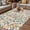 Off-White, variant on Blue Green Eucalyptus Outdoor Rug for Patio/Deck/Porch, Non-Slip Large Area Rug 5 x 7 Ft, Spring Botanical Leaves Weeping Indoor Outdoor Rugs Washable Area Rugs, Reversible Camping Rug Carpet Runner