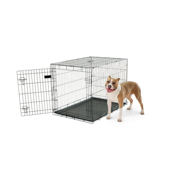 Carlson Pet Products Secure and Compact Single Door Metal Dog Crate, Large, 42"L x 28"W x 30.5"H