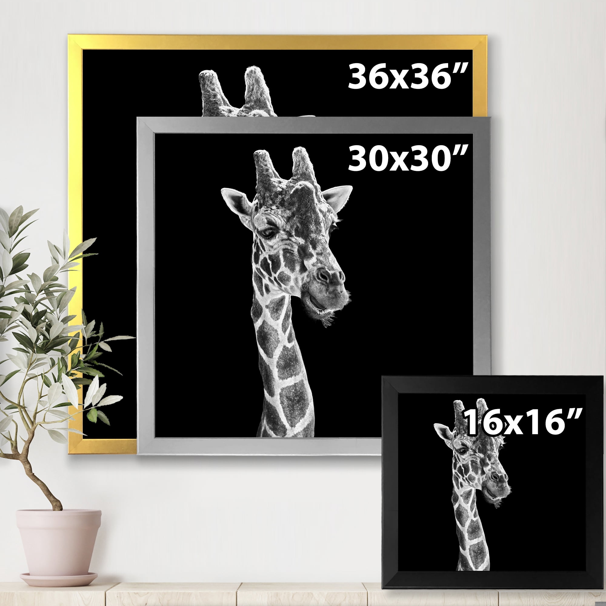 Designart 'Close Up Portrait Of A Giraffe On Black II' Farmhouse Framed Art Print