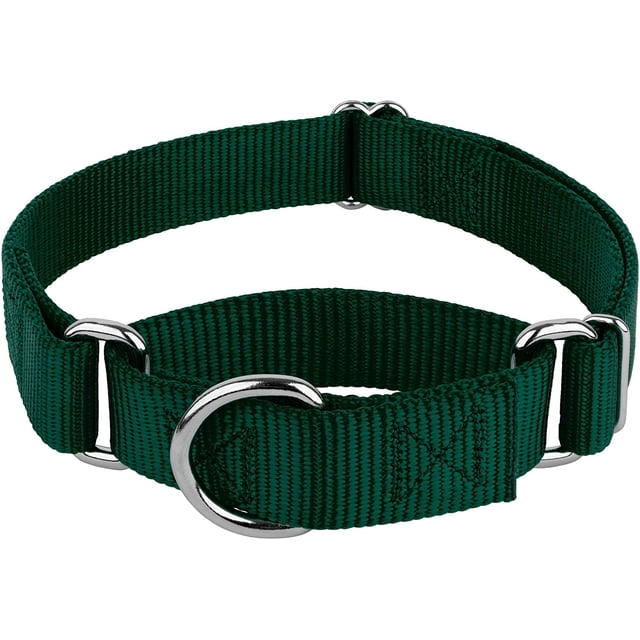 Country Brook Petz Martingale Dog Collar - Heavy-Duty Training Collar with No Buckle - Service Dog Collar for All Pups - Vibrant, Colorful Collection (Green, 3/4 Inch, Small)