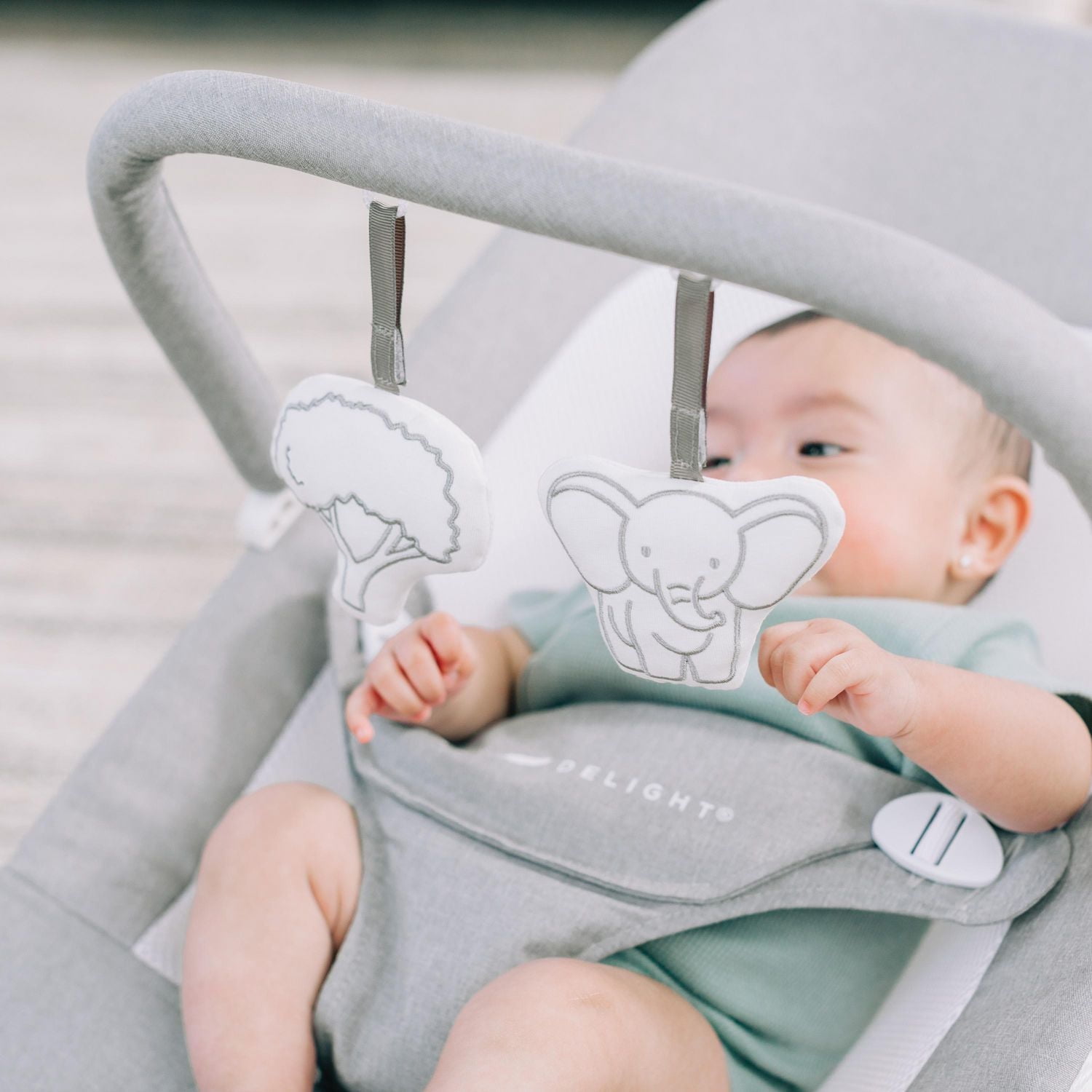 Baby Delight highland Bouncer, Pebble Grey, Enjoy the Highland Bouncer