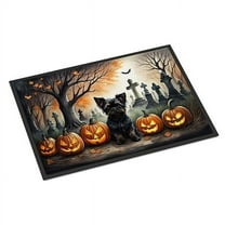 Carolines Treasures DAC2002JMAT 24 x 36 in. Unisex Affenpinscher Spooky Halloween Indoor or Outdoor Mat