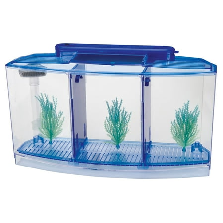 - Penn Plax Triple Deluxe Betta Tank