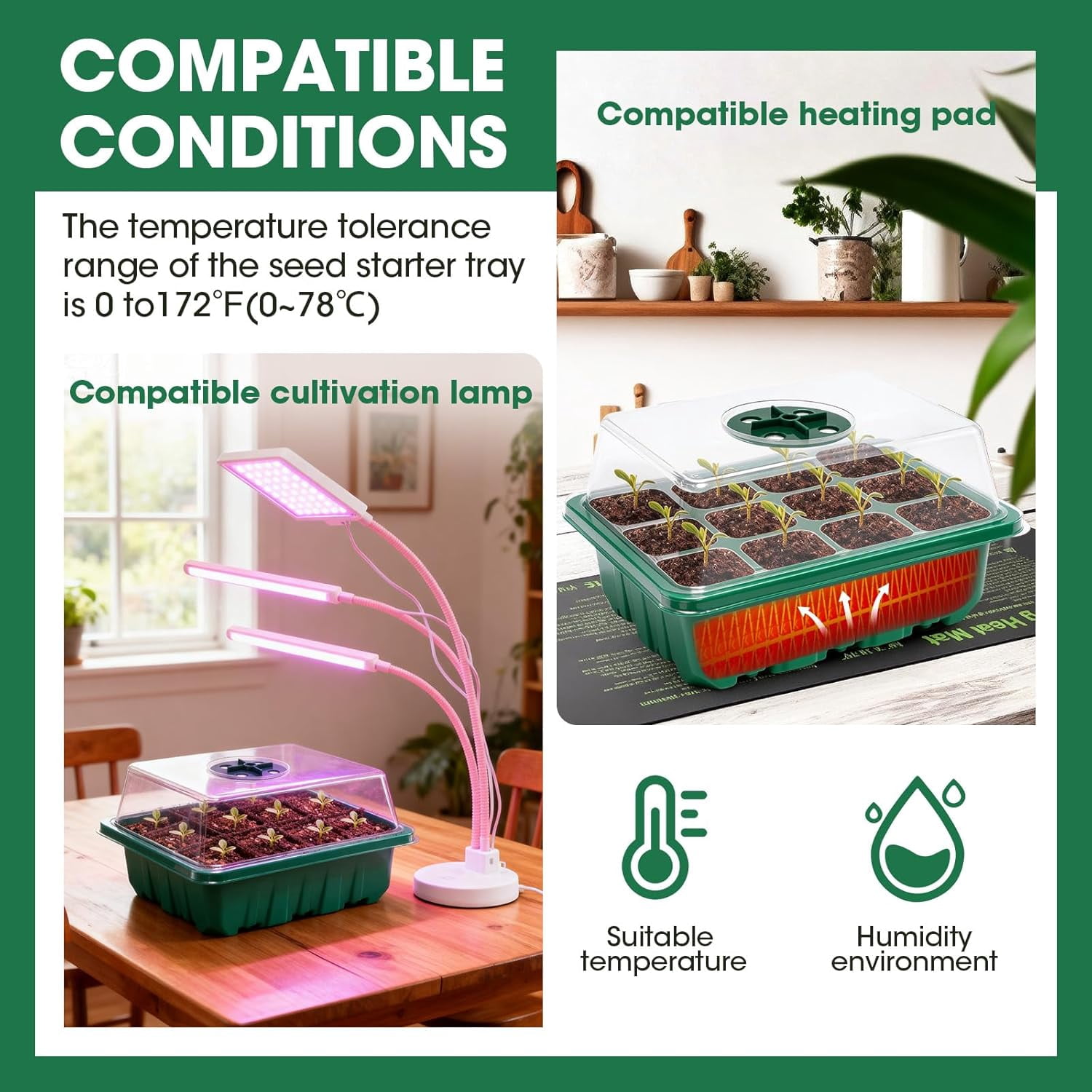 Seed Starter Tray with Humidity Dome, Seed Starter Kit with Transparent Drain Hole Base Indoor Greenhouse Propagator for Seeds Growing