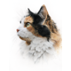 thumbnail image 1 of Qisvanset Fluffy Cat Portrait Canvas Print 12x16 Inch Entryway Decor, 1 of 8
